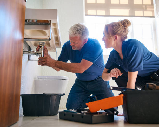 Best Local Plumber Services  in Cheney, KS